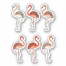 Recherche de couleur corail autocollants Rose