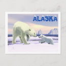 Recherche de ours maman cartes postales Arctique