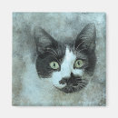 Recherche de chaton noir et blanc magnets Félin