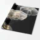 Zoek naar jellyfish cadeaupapier Kwallen