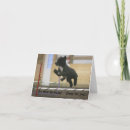 Recherche de chien portugais cartes postales Pwd