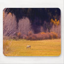 Recherche de chevaux tapis souris Fleurs