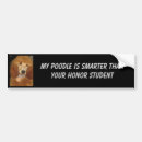 Recherche de caniches voiture autocollants Chien