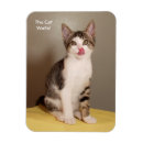 Recherche de maison ouverte magnets Mignon