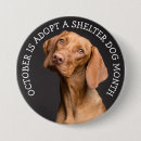 Recherche de réfugié badges Activiste