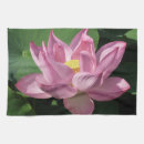 Recherche de nénuphar cuisine linges Jardin