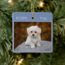 Recherche de animaux mignons ornements Chien
