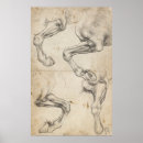 Recherche de anatomie cheval posters Chevaux