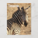 Zoek naar tanzania briefkaarten Savanne