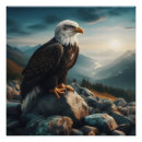 Recherche de aigle posters Nature