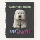 Zoek naar cuteness Huisdier