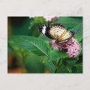 Zoek naar wings briefkaarten Tuin