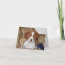 Recherche de la bretagne vœux cartes Chiot