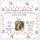 Recherche de empreinte patte chien autocollants Pour animaux