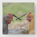 Recherche de poulet horloges Mignon