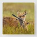 Recherche de kit horloges Faune