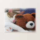 Recherche de nounours puzzles Ours de nounours