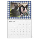 Recherche de lapin calendriers Secourt