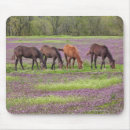 Recherche de champ des fleurs tapis souris Nature