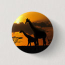 Recherche de girafes badges Afrique