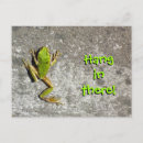 Zoek naar kikkervisje kaarten Tree frog
