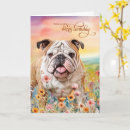 Recherche de bouledogue animaux anniversaire cartes Animaux de compagnie