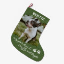 Recherche de chat chaussette de noël Dog