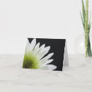Recherche de baiser vœux cartes Vert