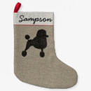 Recherche de caniche chaussette de noël Chien