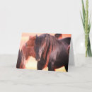 Recherche de étalon noir vœux cartes Amateurs de chevaux