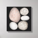 Recherche de objet naturel art Personne