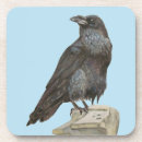 Recherche de corvid dessous de verres Halloween