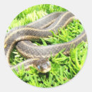 Recherche de serpents autocollants Pour enfants