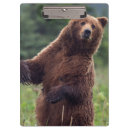 Recherche de ours brun porte blocs Alaska