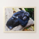 Recherche de chimpanzé puzzles Zoo