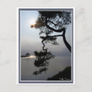 Recherche de tordu cartes postales Nature