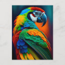 Recherche de peinture perroquet cartes postales Amoureux des oiseaux