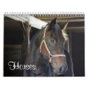 Recherche de portrait de cheval bureau fournitures Chevaux