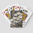 Recherche de champignons jeux de cartes Forêt
