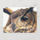 Recherche de chasseurs cartes postales Oiseaux