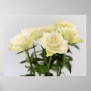 Zoek naar witte rozen posters Mooi