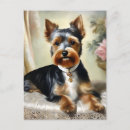 Recherche de yorkshire terrier chien cartes postales Portrait