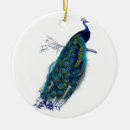 Recherche de bleu de paon ornements Nature