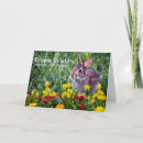 Recherche de pâques de lapin correspondances cartes Vacances