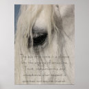 Recherche de percheron posters Tirant