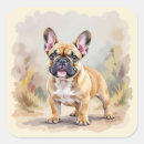 Recherche de chien berger australien autocollants Aussie
