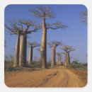 Recherche de avenue autocollants Nature