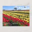 Zoek naar rood briefkaarten Boerderij