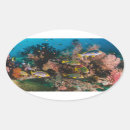Recherche de photographie sous marine autocollants Aquarium
