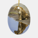 Recherche de lion africain ornements Animaux